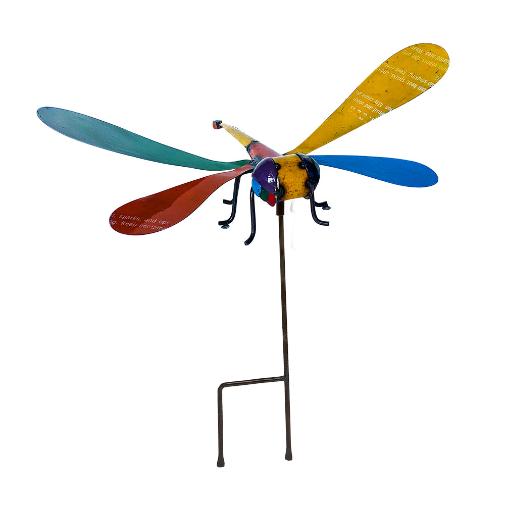 Barnyard Kimberley Dragonfly