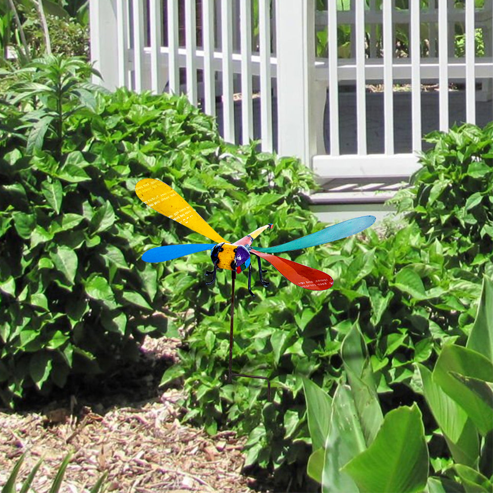 Barnyard Kimberley Dragonfly