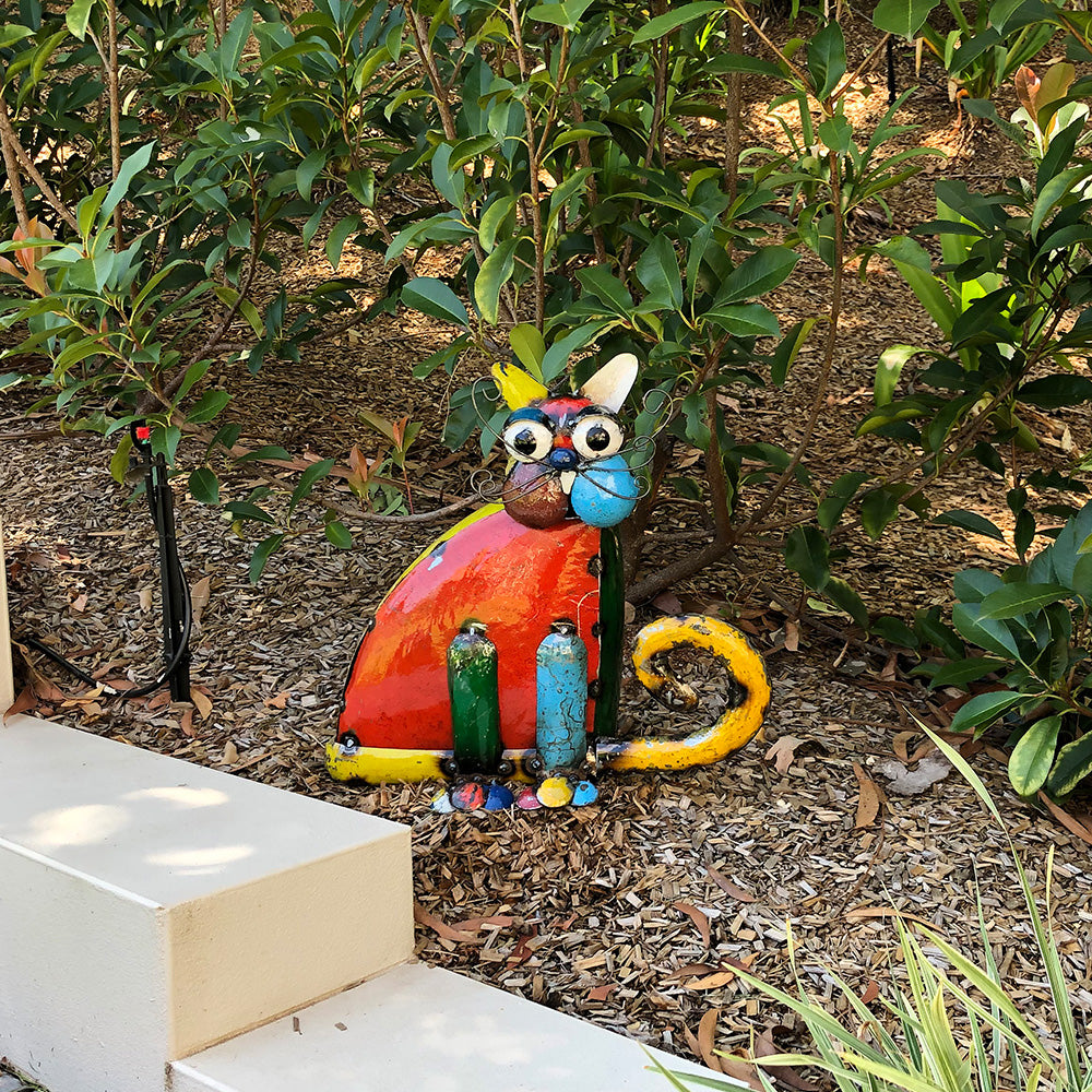 Barnyard Cat Sitting