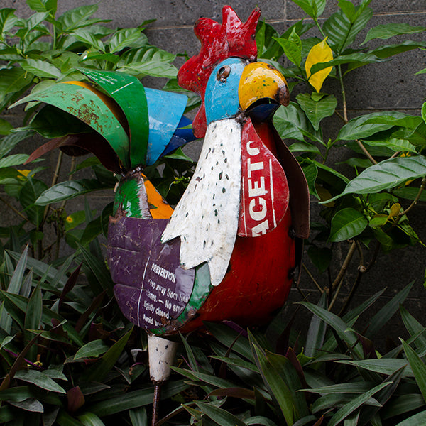 Barnyard Randy Rooster