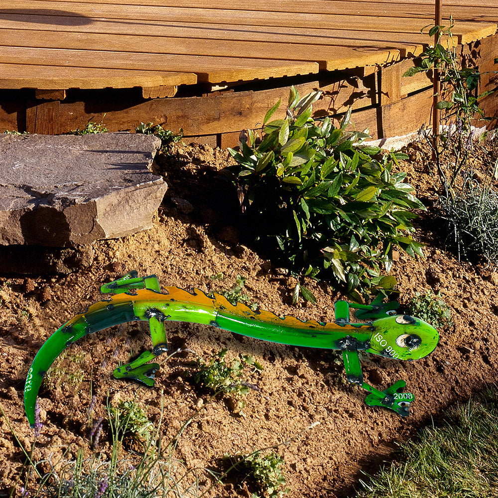 Barnyard Monitor Lizard - Green