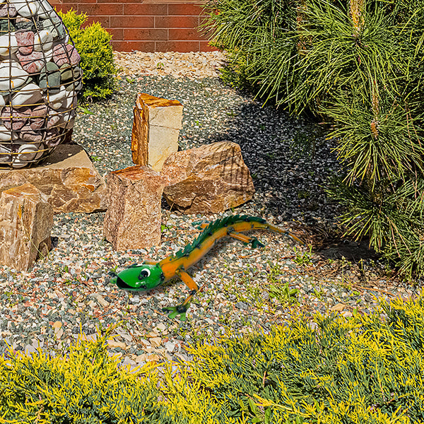 Barnyard Monitor Lizard - Yellow