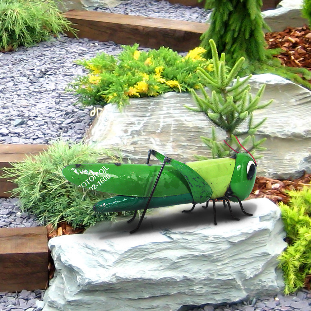 Barnyard Grasshopper
