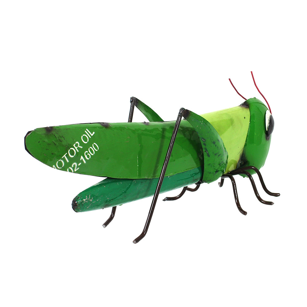 Barnyard Grasshopper