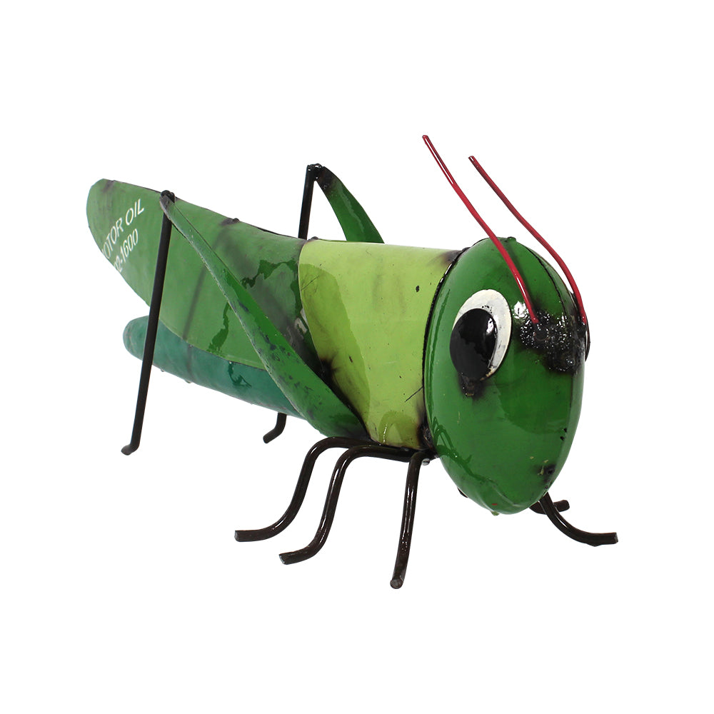 Barnyard Grasshopper