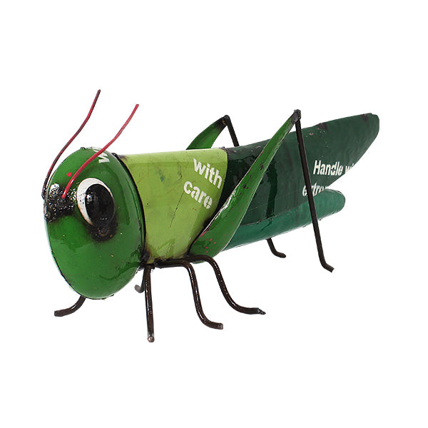 Barnyard Grasshopper
