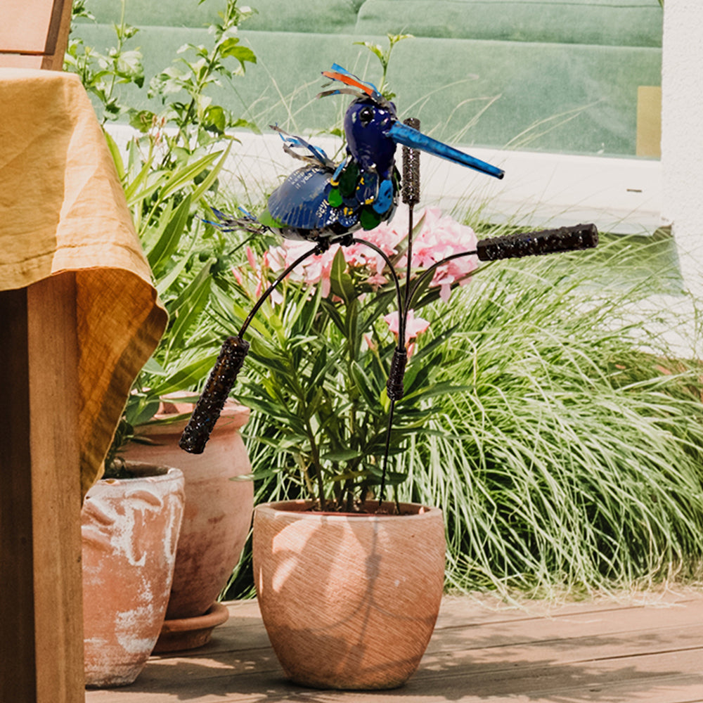 Barnyard Kingfisher