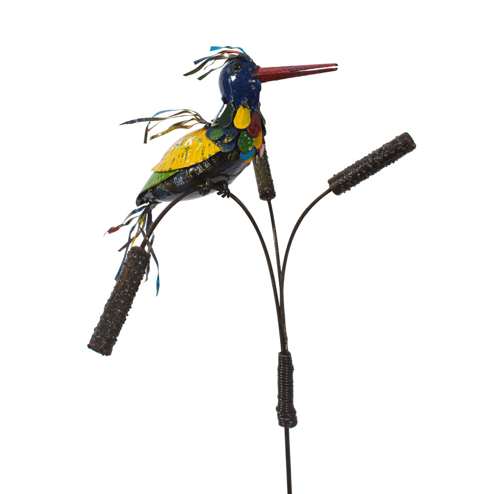 Barnyard Kingfisher