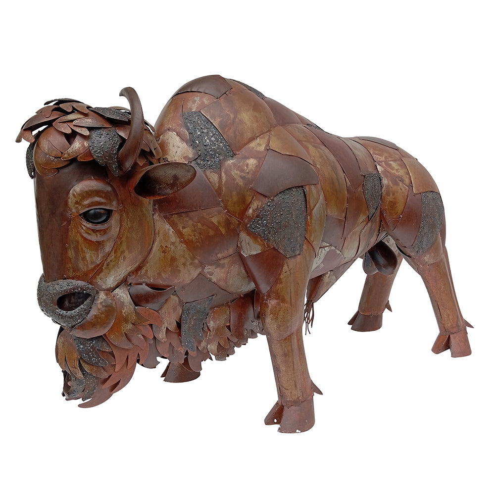 American Bison