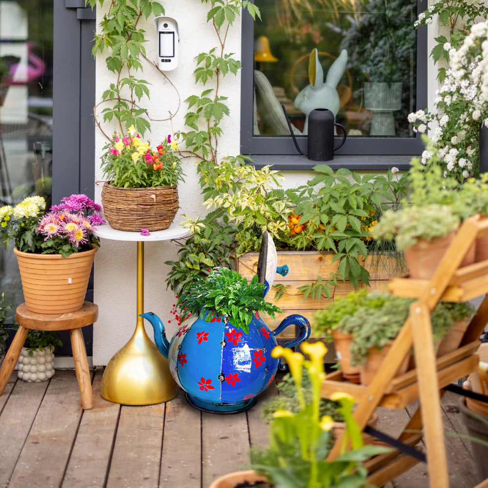 The Teapot Planter Short