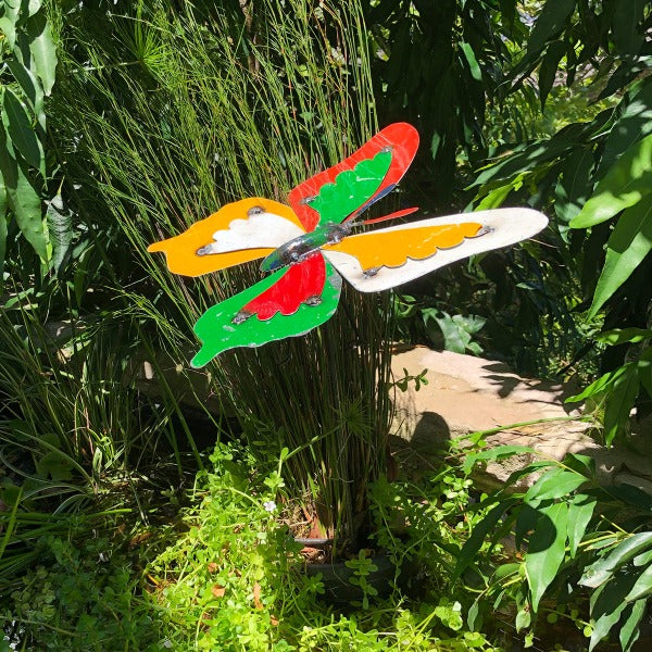 Barnyard Ulysses Butterfly