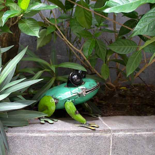 Pad Me Pond Frog Large