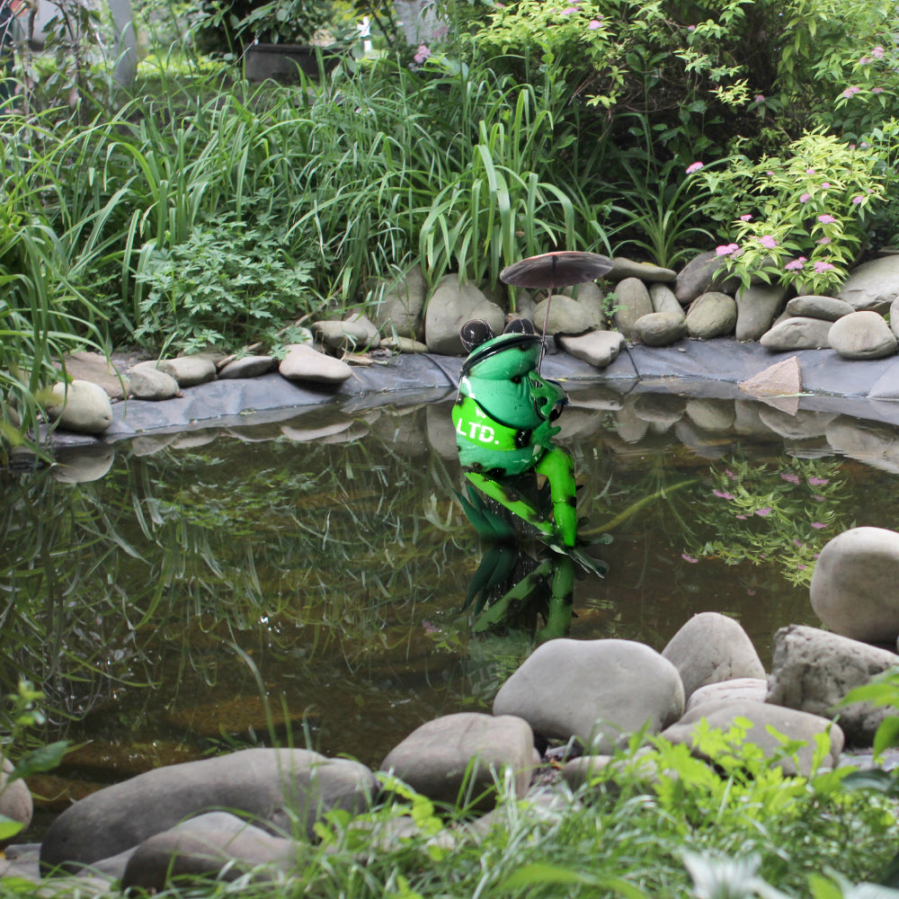 Cross-Legged Frog on Leaf