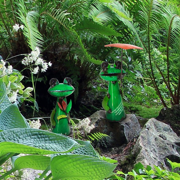 Lily Frog