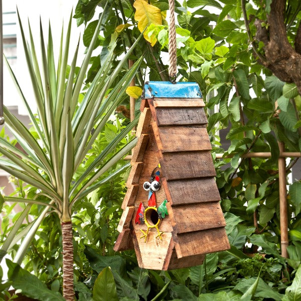 Cuckoos Nest Bird House