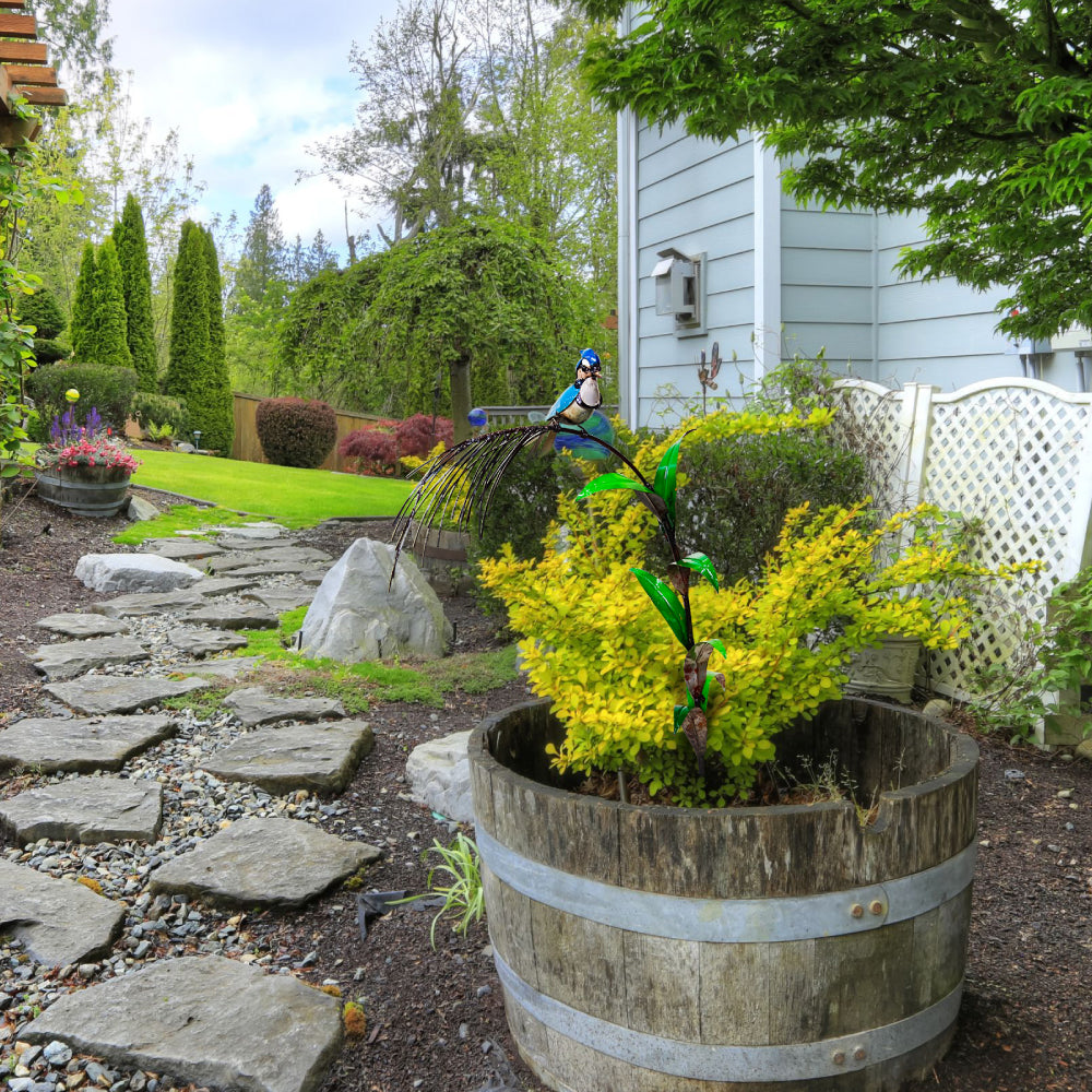 Blue Jay Garden Stake