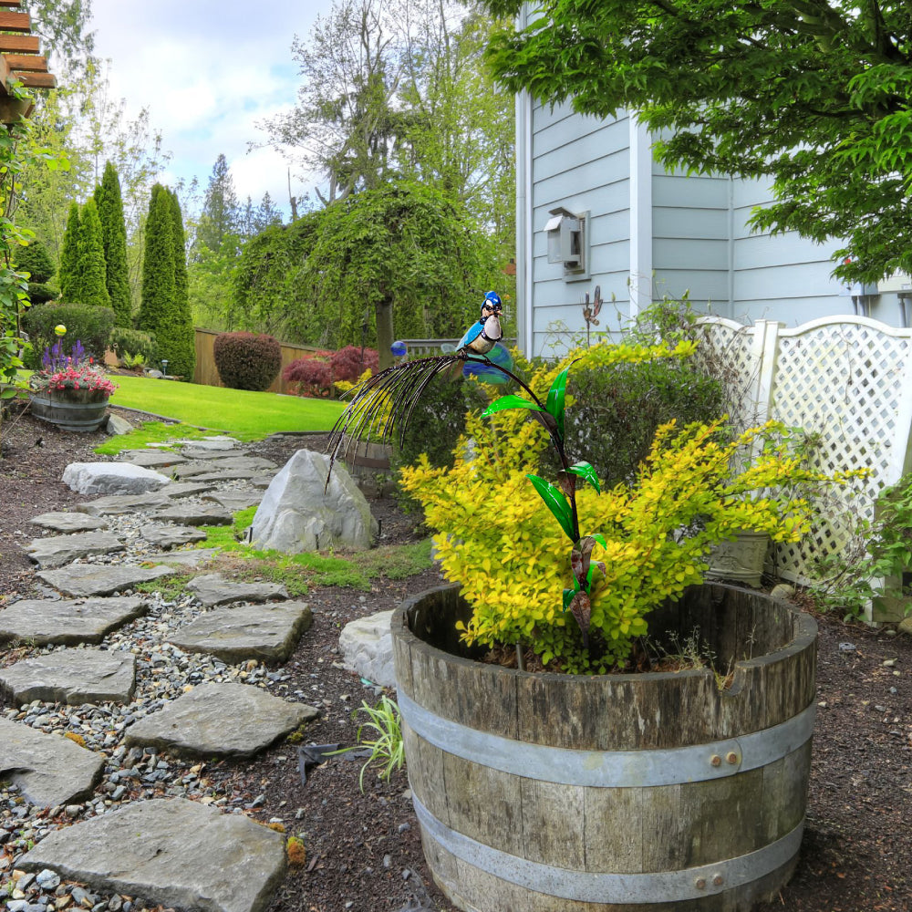 Blue Jay Garden Stake