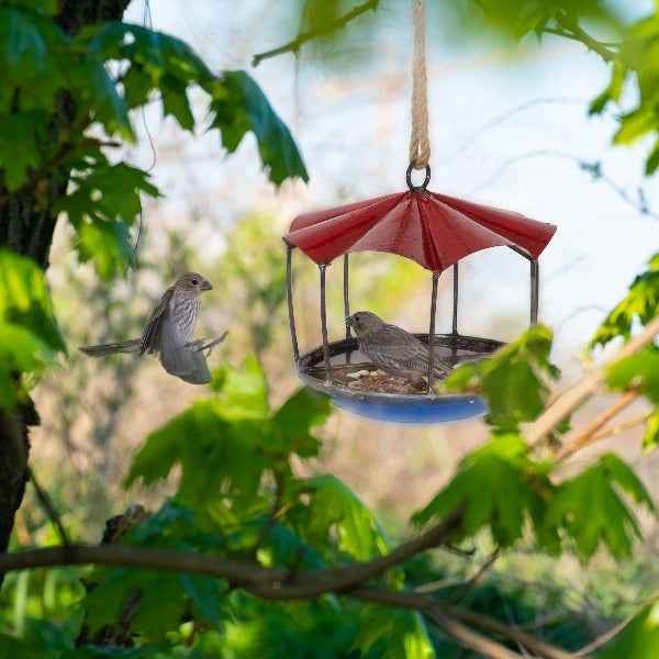 Feed Me Birdfeeder