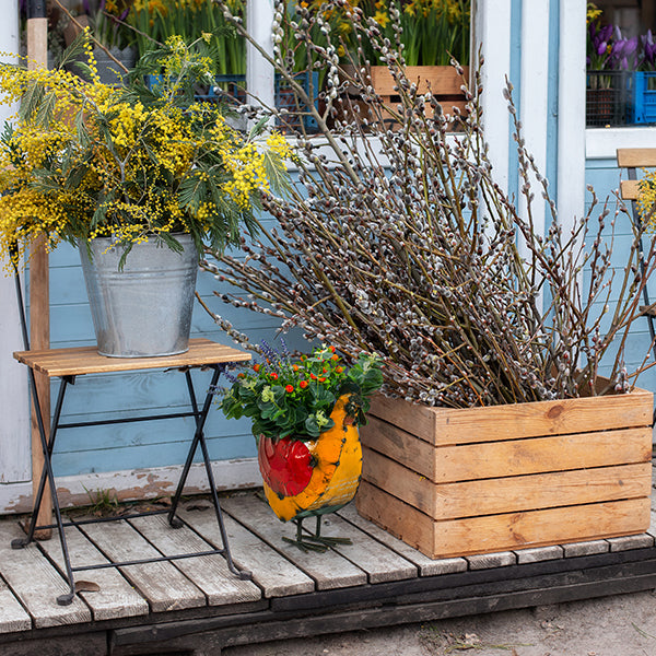 Happy Hen Planter