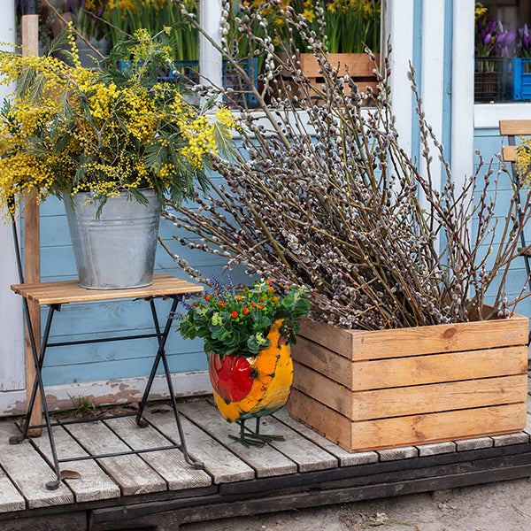 Happy Hen Planter