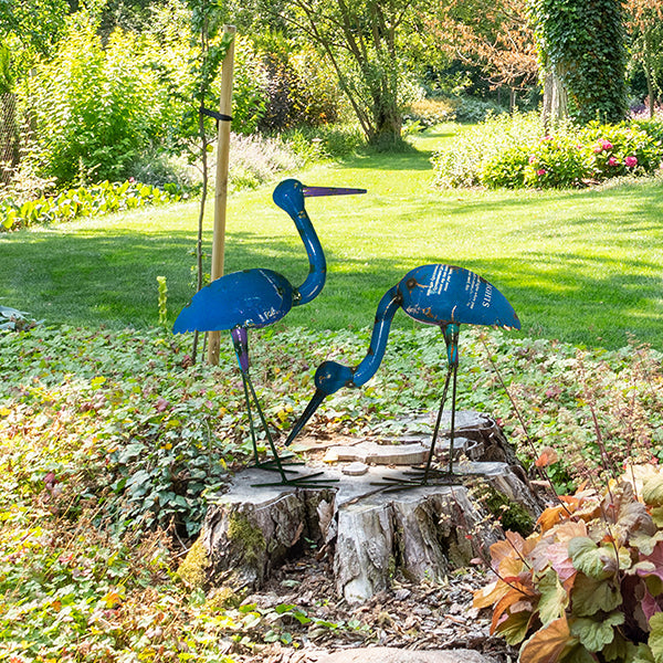 Crane on the Down