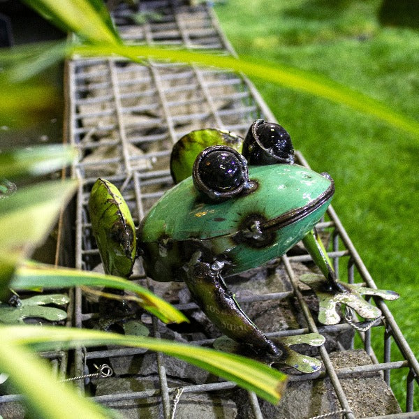 Pad Me Pond Frog