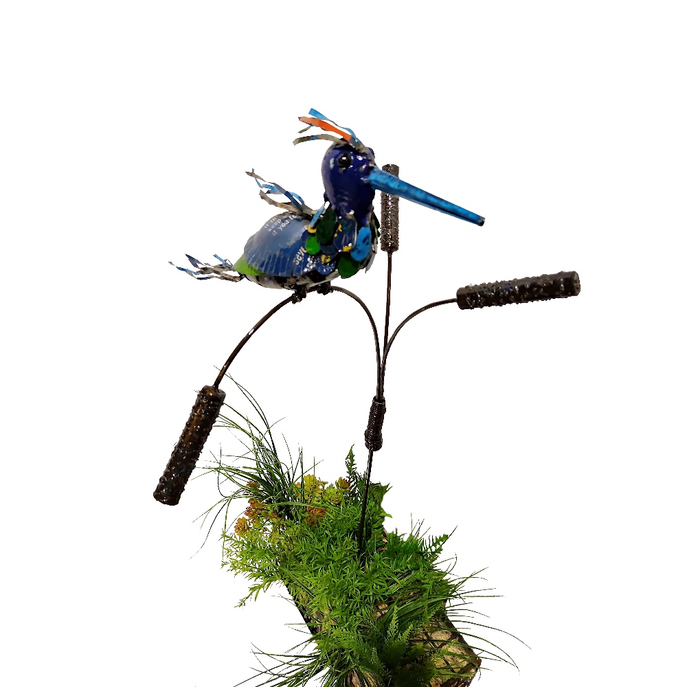 Barnyard Kingfisher