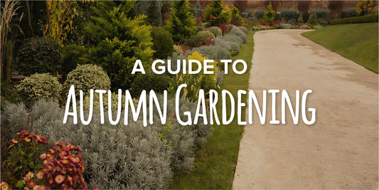 A Guide to Autumn Gardening with Think Outside