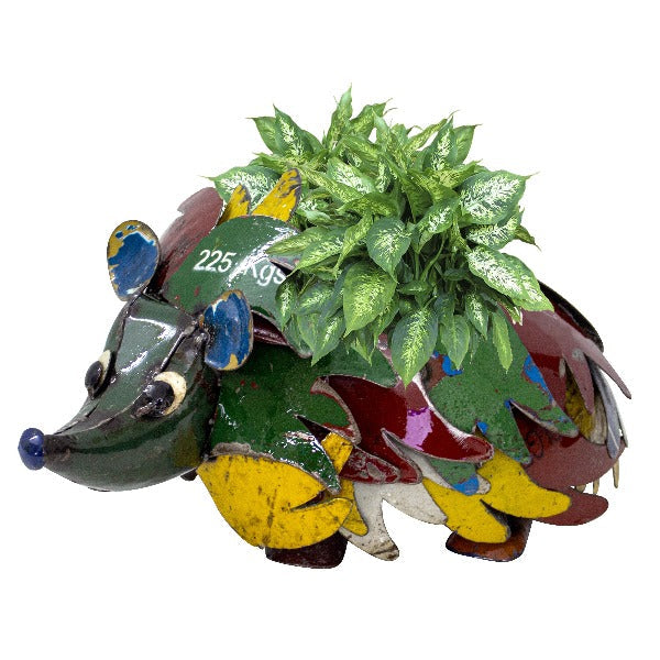 [Pre-order] Hedgehog Planter