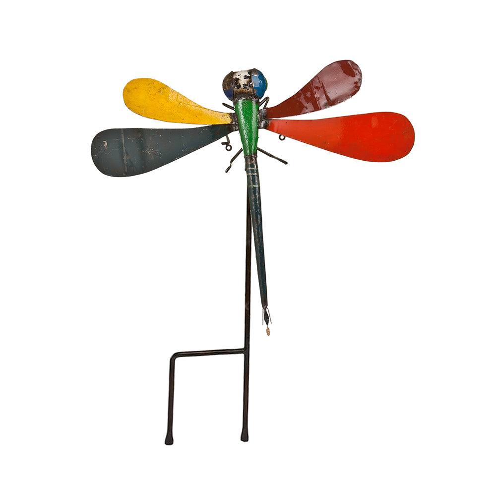 Barnyard Kimberley Dragonfly