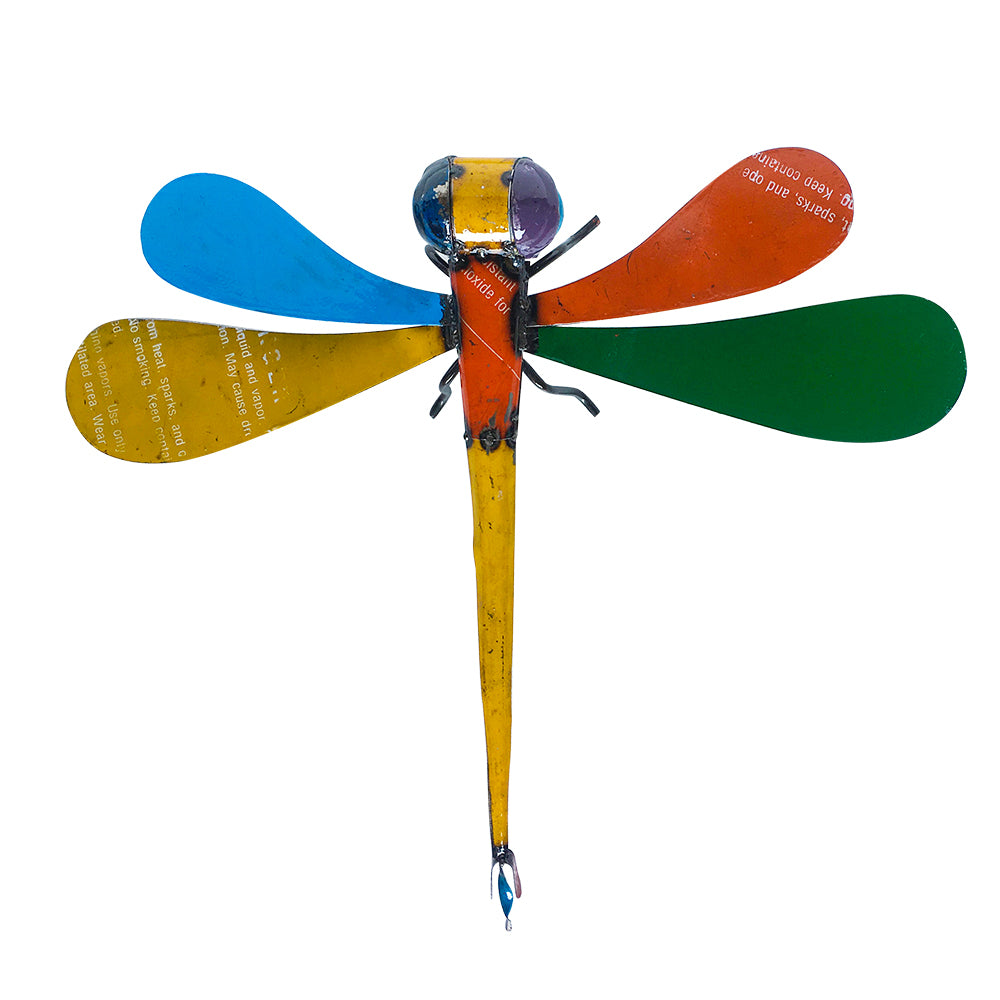 Barnyard Kimberley Dragonfly