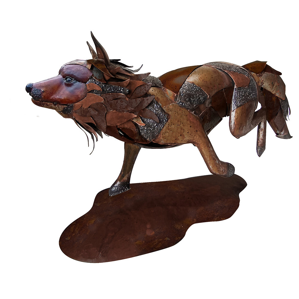 American Gray Wolf