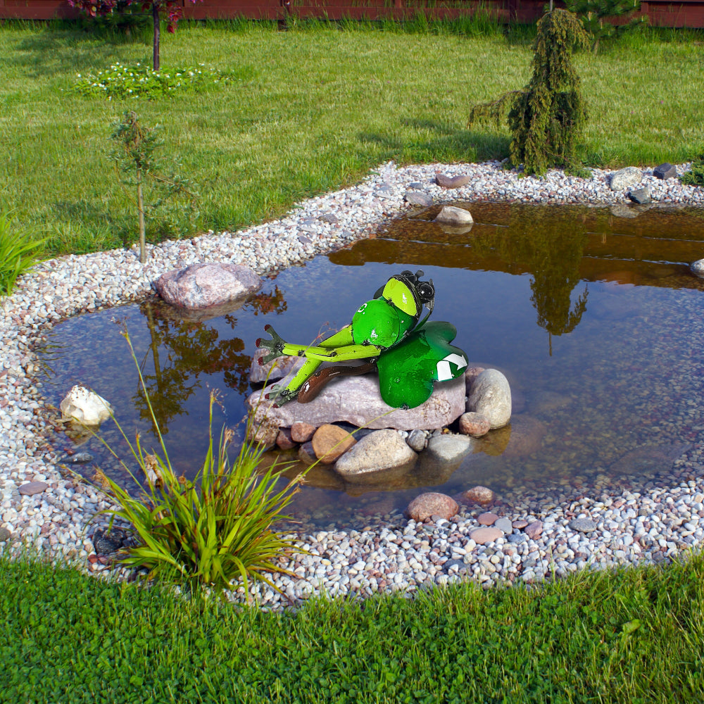 Frog Just Chillin'