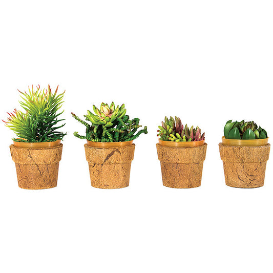 Cocopots Mini Heaven (Set of 4)