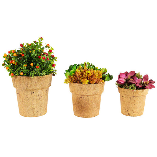 Cocopots Alare Natural (Set of 3)