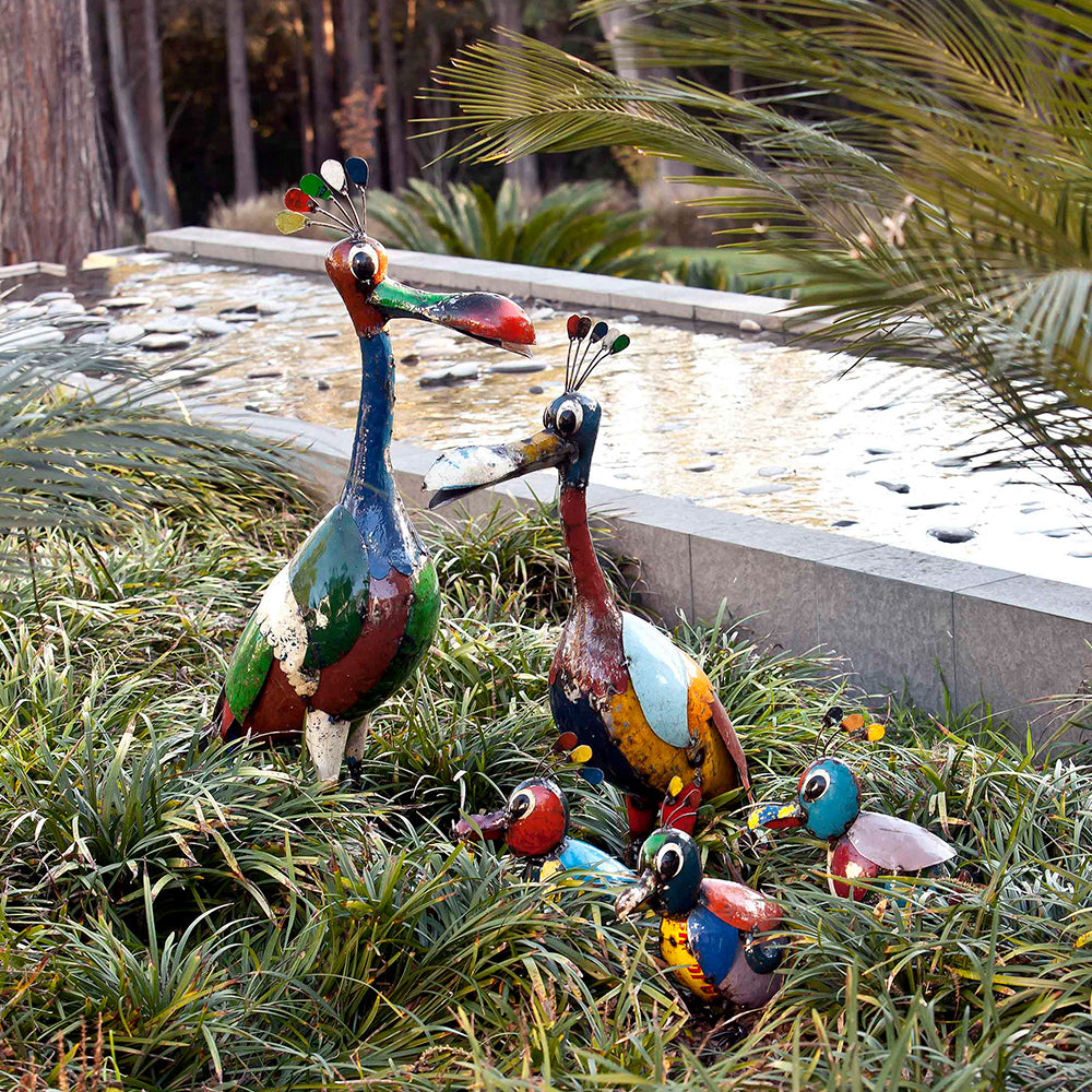 Baz the Father Bird – Think Outside