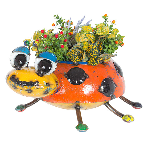 Lilly the Lady Bug Planter