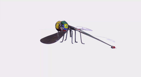 Barnyard Kimberley Dragonfly
