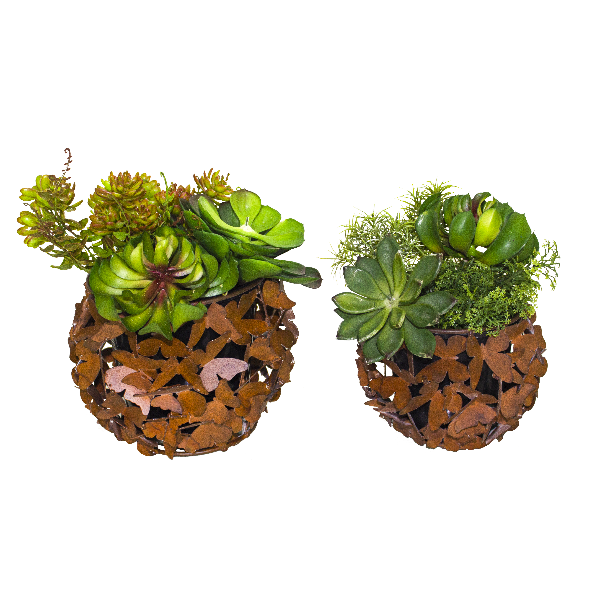 Mini Butterfly Planters