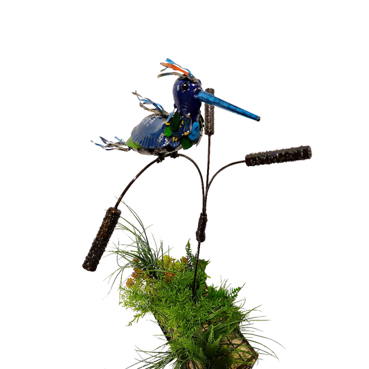 Barnyard Kingfisher