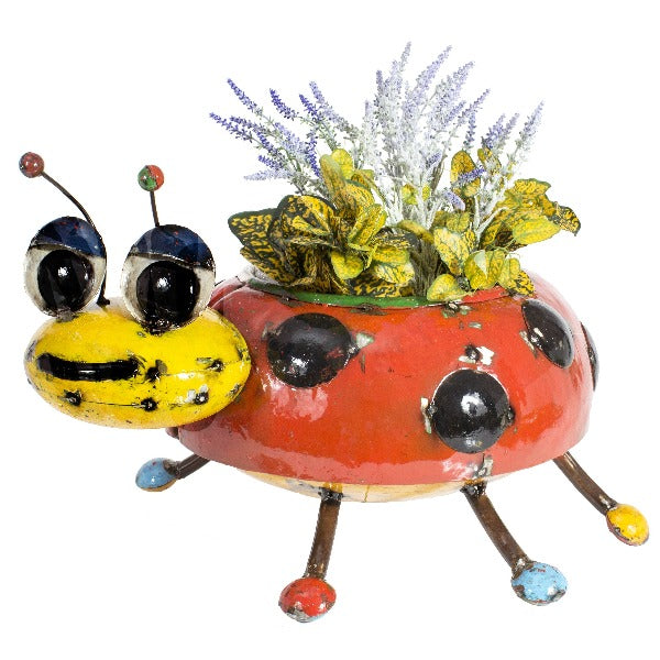 Lilly the Lady Bug Planter